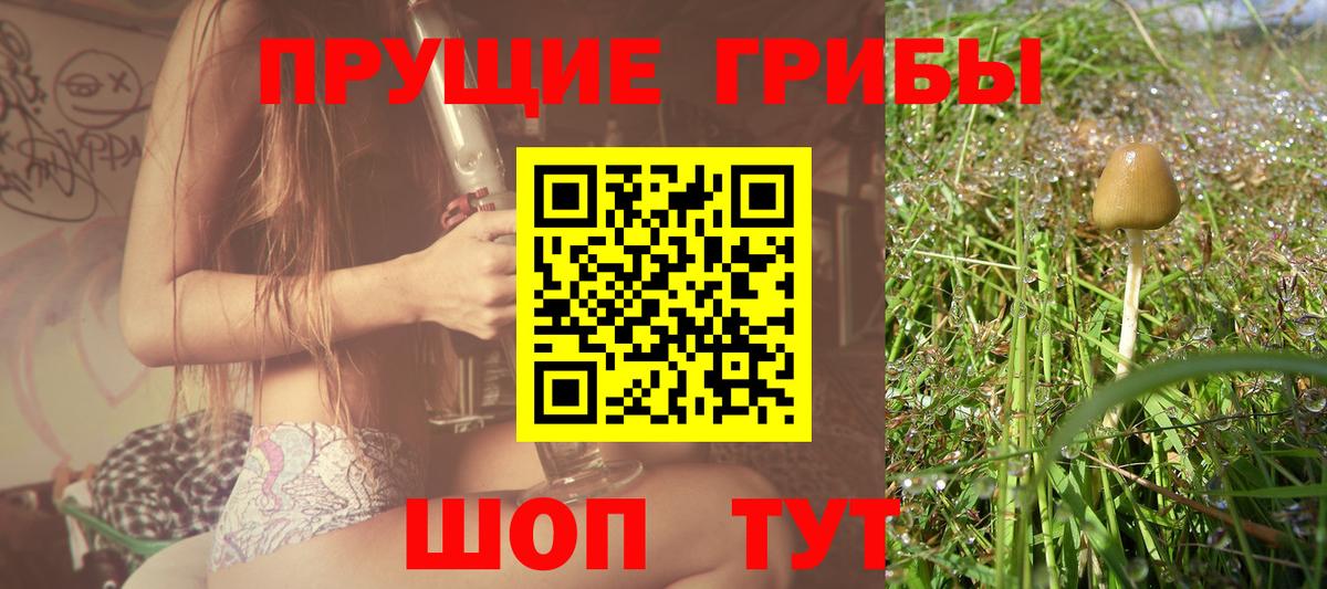 Псилоцибиновые грибы Magic Shrooms Ростов Великий