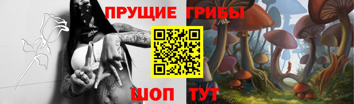 Ростов Великий  купить  сайты  Галлюциногенные грибы Magic Shrooms  Вход с VPN  Псилоцибиновые грибы GOLDEN TEACHER 